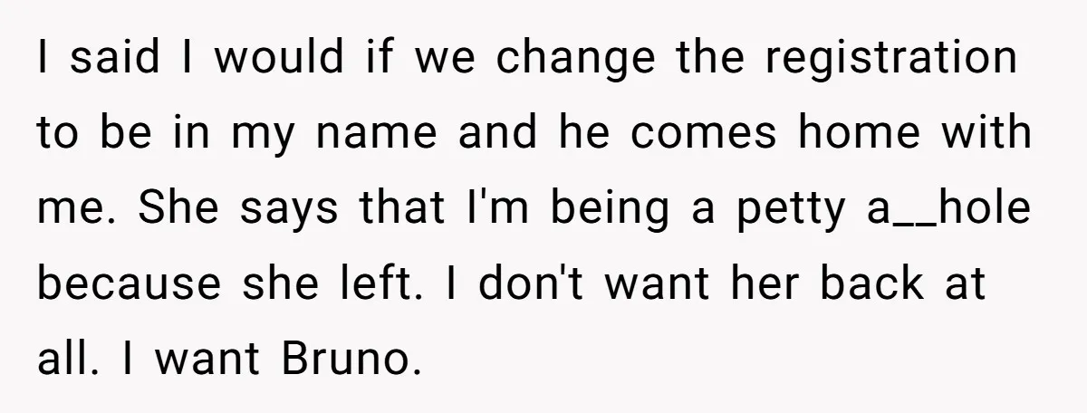 I said I would if we change the registration to be in my name and he comes home with me. She says that I'm being a petty a__hole because she...