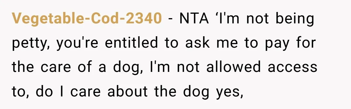 Vegetable-Cod-2340 − NTA ‘I'm not being petty, you're entitled to ask me to pay for the care of a dog, I'm not allowed access to, do I care about the...