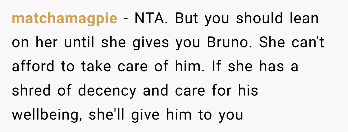 matchamagpie − NTA. But you should lean on her until she gives you Bruno. She can't afford to take care of him. If she has a shred of decency and...