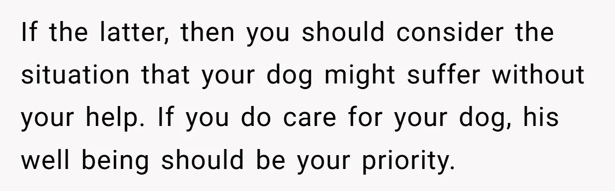 If the latter, then you should consider the situation that your dog might suffer without your help. If you do care for your dog, his well being should be your...
