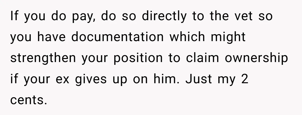 If you do pay, do so directly to the vet so you have documentation which might strengthen your position to claim ownership if your ex gives up on him. Just...