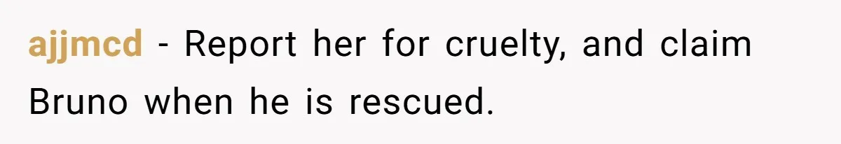 ajjmcd − Report her for cruelty, and claim Bruno when he is rescued.