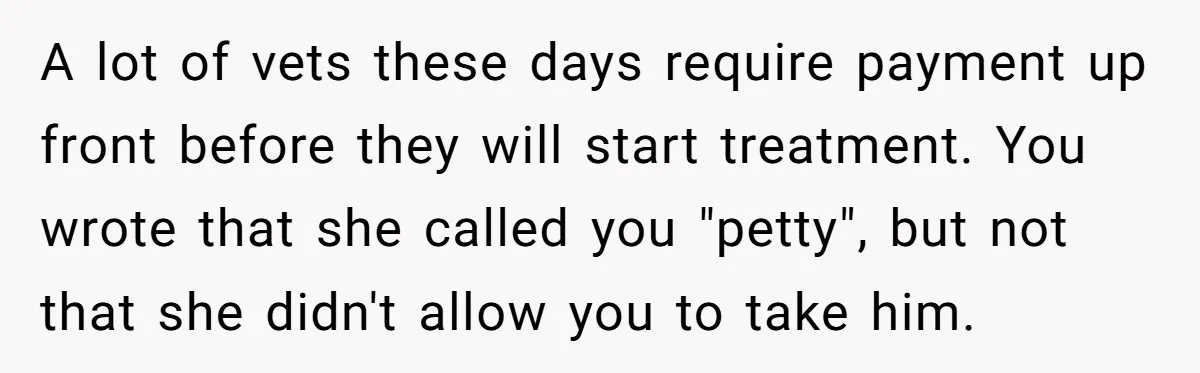 A lot of vets these days require payment up front before they will start treatment. You wrote that she called you "petty", but not that she didn't allow you to...