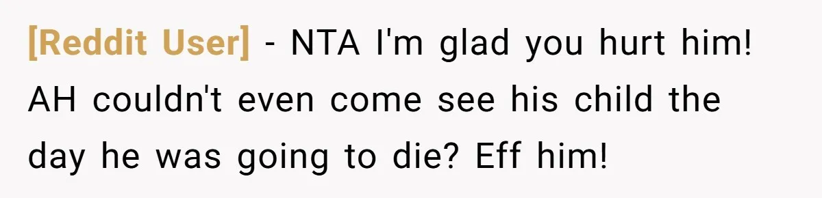 [Reddit User] − NTA I'm glad you hurt him! AH couldn't even come see his child the day he was going to die? Eff him!
