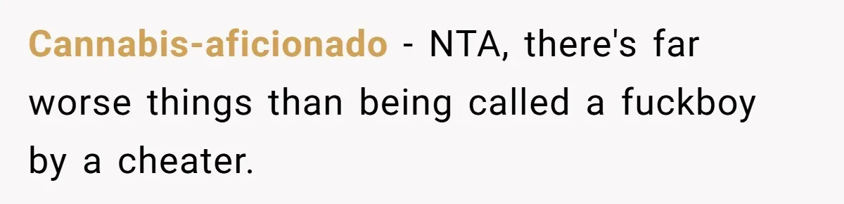 Cannabis-aficionado − NTA, there's far worse things than being called a fuckboy by a cheater.