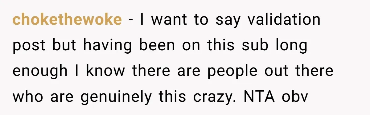 chokethewoke − I want to say validation post but having been on this sub long enough I know there are people out there who are genuinely this crazy. NTA obv