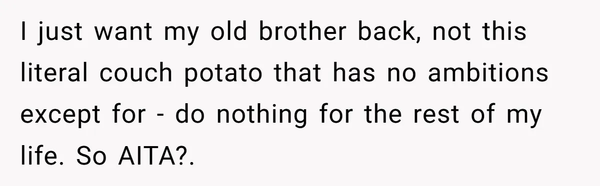 I just want my old brother back, not this literal couch potato that has no ambitions except for - do nothing for the rest of my life. So AITA?. ​
