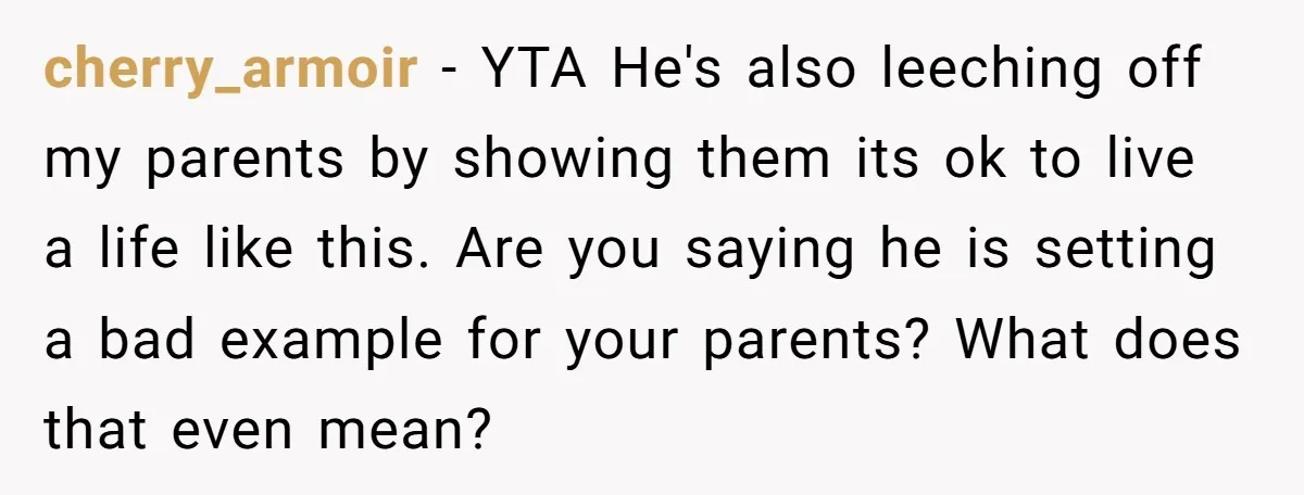 cherry_armoir − YTA He's also leeching off my parents by showing them its ok to live a life like this. Are you saying he is setting a bad example for...