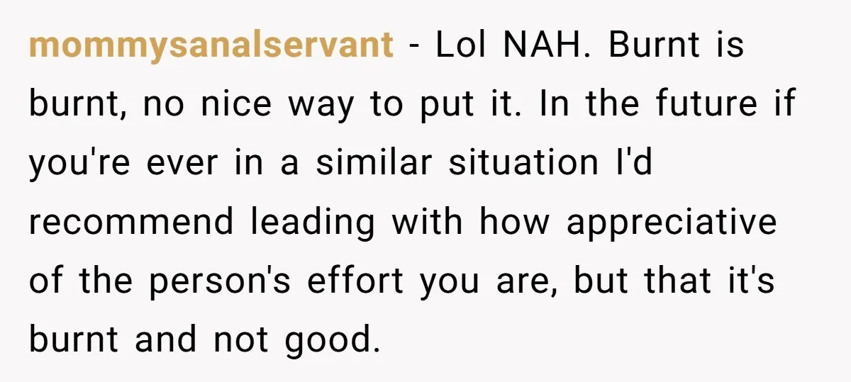 mommysanalservant − Lol NAH. Burnt is burnt, no nice way to put it. In the future if you're ever in a similar situation I'd recommend leading with how appreciative of...