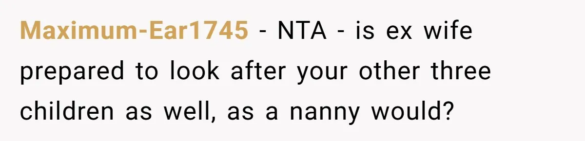 Maximum-Ear1745 − NTA - is ex wife prepared to look after your other three children as well, as a nanny would?