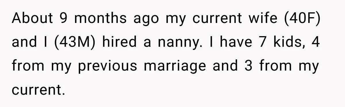 About 9 months ago my current wife (40F) and I (43M) hired a nanny. I have 7 kids, 4 from my previous marriage and 3 from my current.
