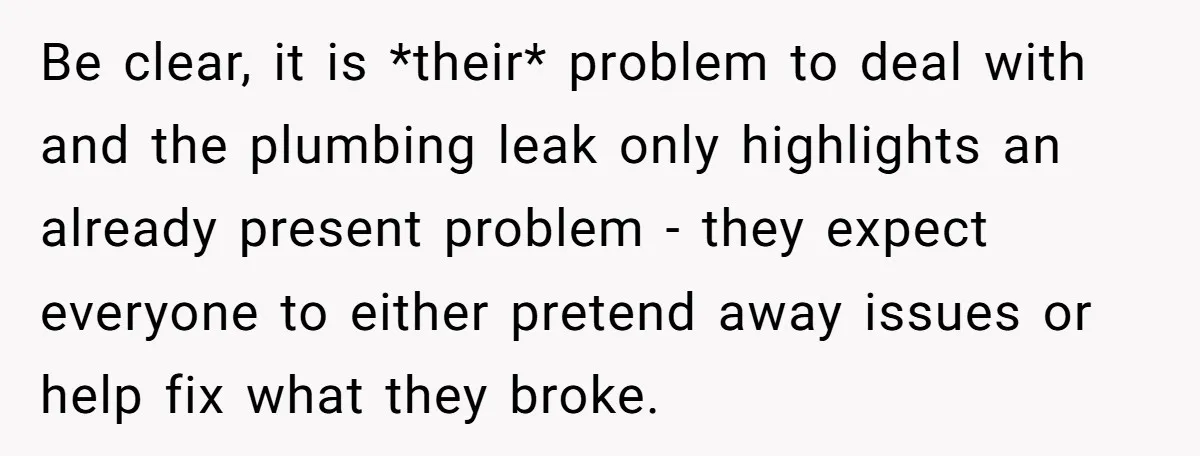 Be clear, it is *their* problem to deal with and the plumbing leak only highlights an already present problem - they expect everyone to either pretend away issues or help...