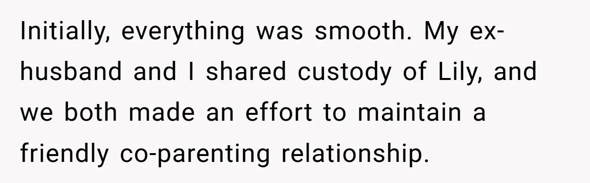Initially, everything was smooth. My ex-husband and I shared custody of Lily, and we both made an effort to maintain a friendly co-parenting relationship.