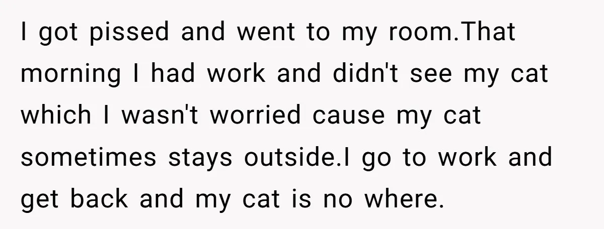 I got pissed and went to my room.That morning I had work and didn't see my cat which I wasn't worried cause my cat sometimes stays outside.I go to work...