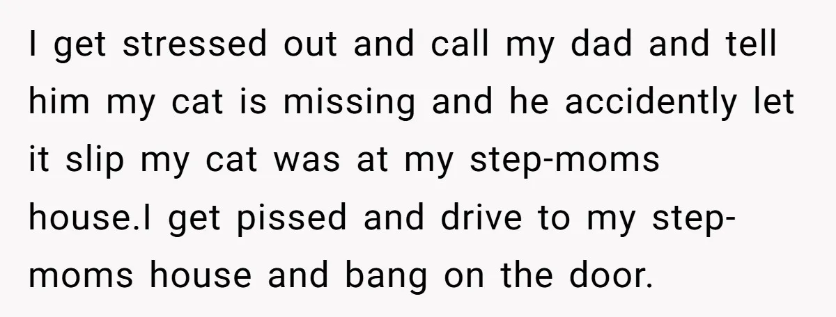 I get stressed out and call my dad and tell him my cat is missing and he accidently let it slip my cat was at my step-moms house.I get pissed...