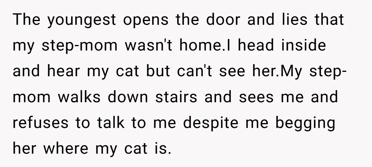 The youngest opens the door and lies that my step-mom wasn't home.I head inside and hear my cat but can't see her.My step-mom walks down stairs and sees me and...