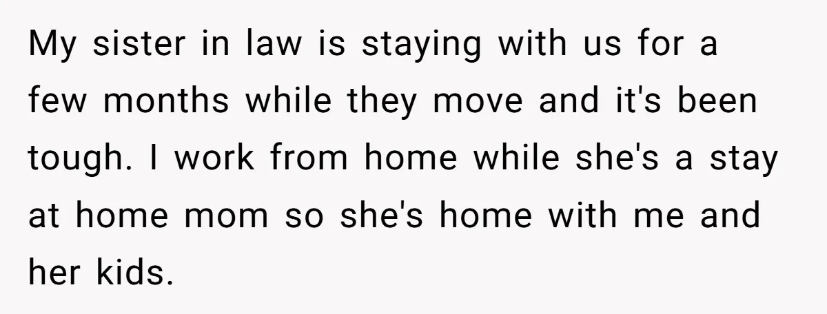 My sister in law is staying with us for a few months while they move and it's been tough. I work from home while she's a stay at home mom...