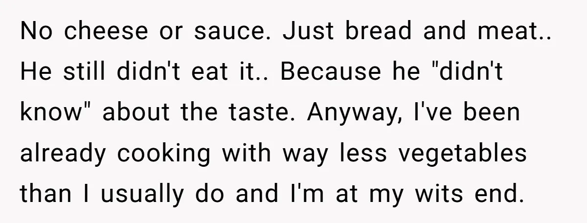 No cheese or sauce. Just bread and meat.. He still didn't eat it.. Because he "didn't know" about the taste. Anyway, I've been already cooking with way less vegetables than...