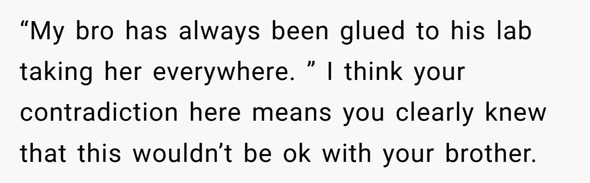 “My bro has always been glued to his lab taking her everywhere. ” I think your contradiction here means you clearly knew that this wouldn’t be ok with your brother.