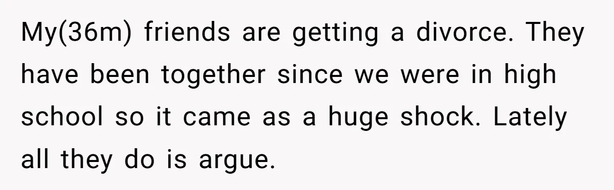 My(36m) friends are getting a divorce. They have been together since we were in high school so it came as a huge shock. Lately all they do is argue.