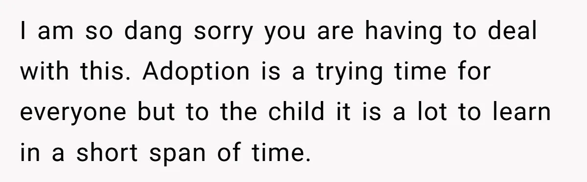 I am so dang sorry you are having to deal with this. Adoption is a trying time for everyone but to the child it is a lot to learn in...