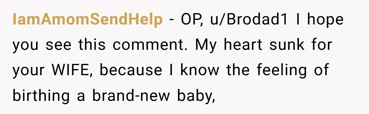 IamAmomSendHelp − OP, u/Brodad1 I hope you see this comment. My heart sunk for your WIFE, because I know the feeling of birthing a brand-new baby,