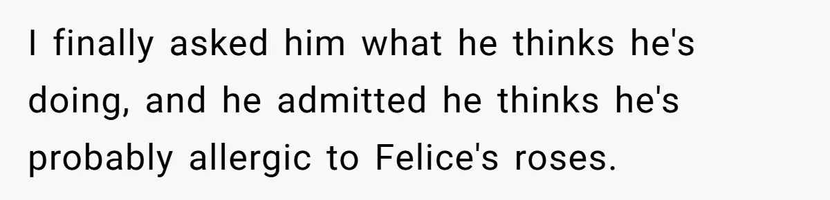 I finally asked him what he thinks he's doing, and he admitted he thinks he's probably allergic to Felice's roses.