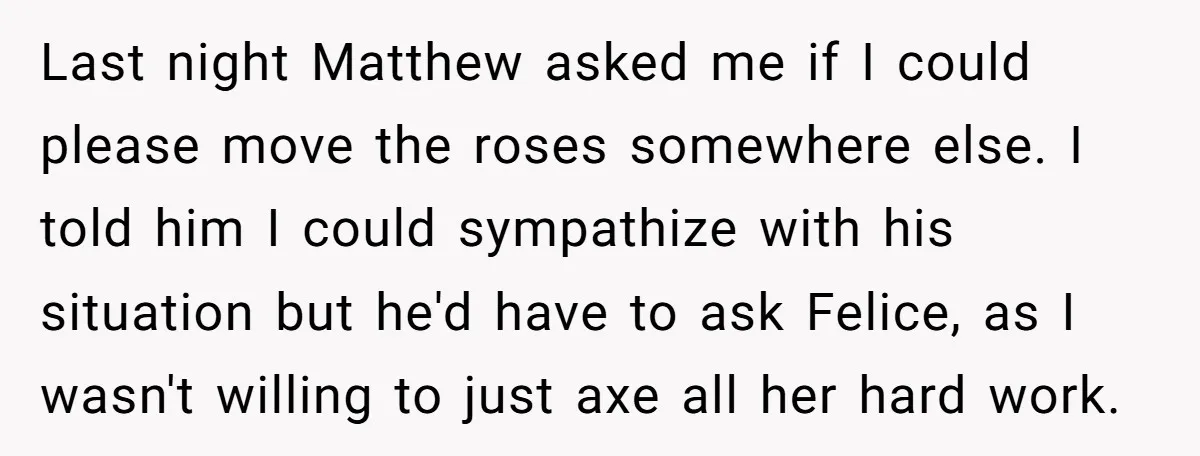 Last night Matthew asked me if I could please move the roses somewhere else. I told him I could sympathize with his situation but he'd have to ask Felice, as...