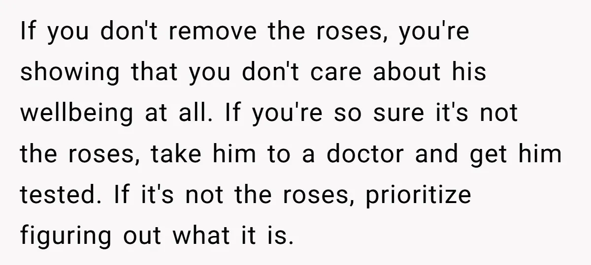 If you don't remove the roses, you're showing that you don't care about his wellbeing at all. If you're so sure it's not the roses, take him to a doctor...