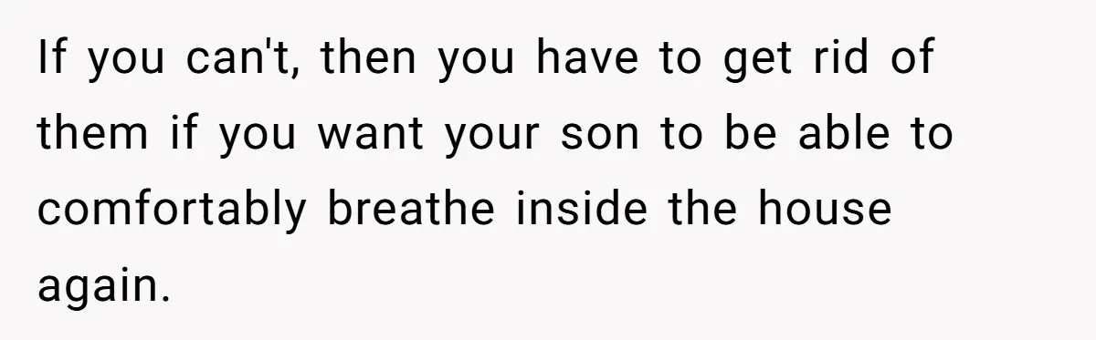 If you can't, then you have to get rid of them if you want your son to be able to comfortably breathe inside the house again.
