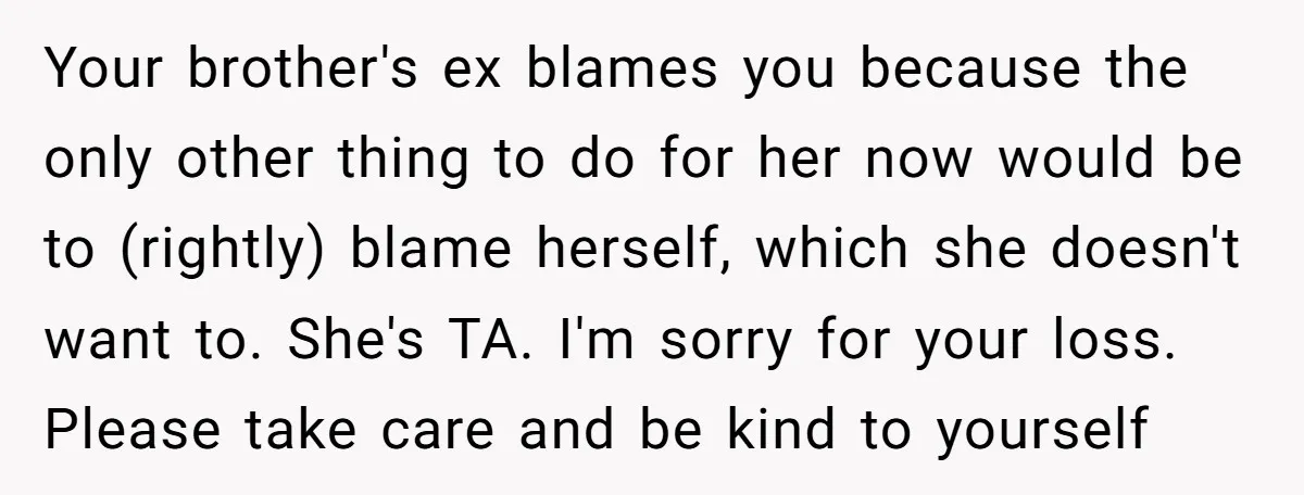 Your brother's ex blames you because the only other thing to do for her now would be to (rightly) blame herself, which she doesn't want to. She's TA. I'm sorry...