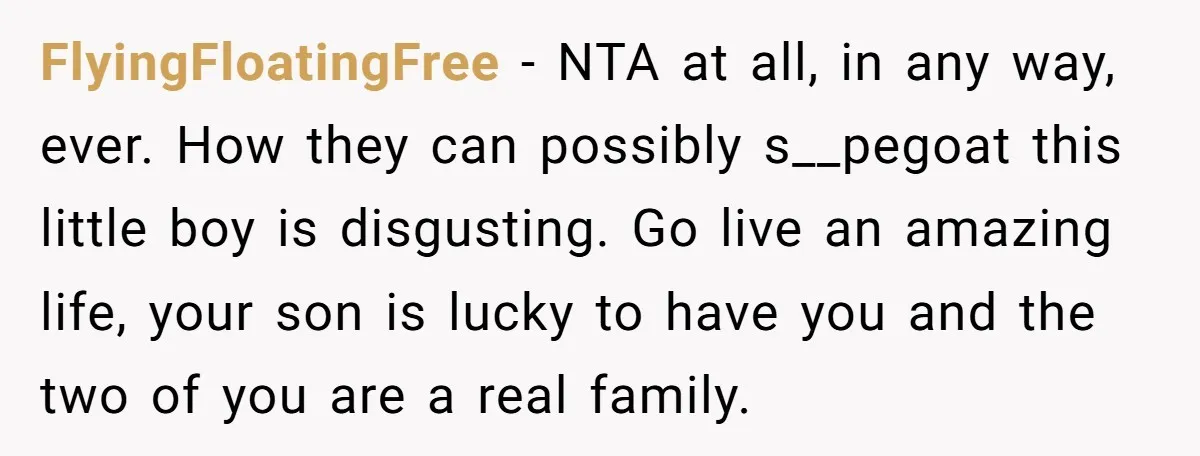 FlyingFloatingFree − NTA at all, in any way, ever. How they can possibly s__pegoat this little boy is disgusting. Go live an amazing life, your son is lucky to have...