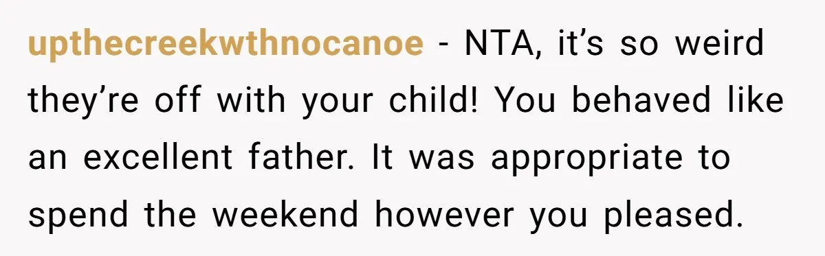 upthecreekwthnocanoe − NTA, it’s so weird they’re off with your child! You behaved like an excellent father. It was appropriate to spend the weekend however you pleased.