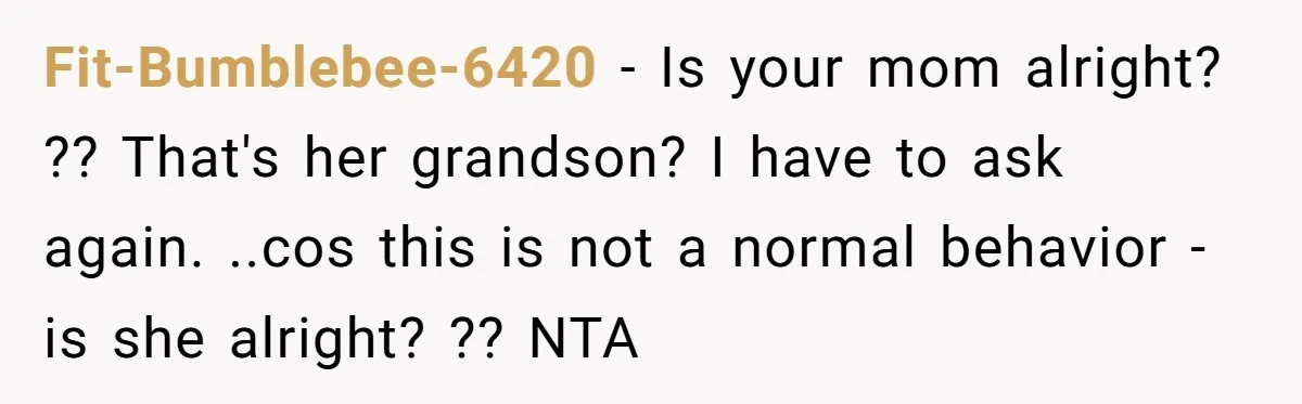 Fit-Bumblebee-6420 − Is your mom alright? ?? That's her grandson? I have to ask again. ..cos this is not a normal behavior - is she alright? ?? NTA
