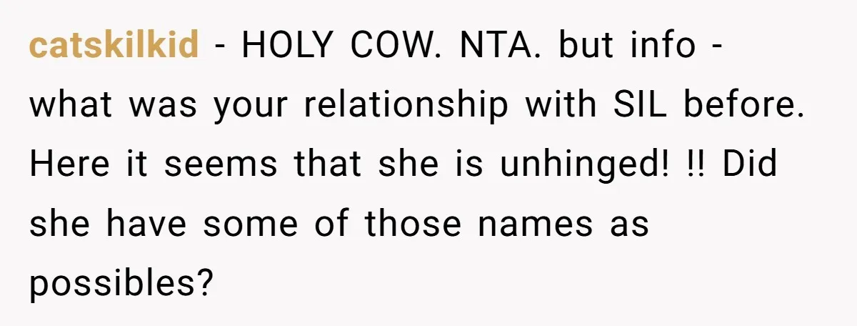 catskilkid − HOLY COW. NTA. but info - what was your relationship with SIL before. Here it seems that she is unhinged! !! Did she have some of those names...