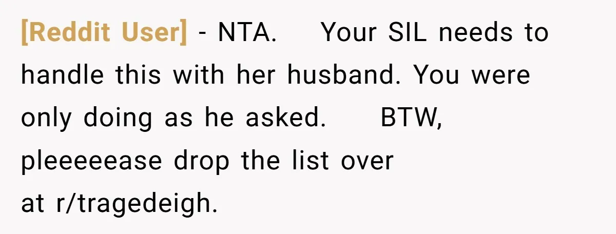 [Reddit User] − NTA.    Your SIL needs to handle this with her husband. You were only doing as he asked.     BTW, pleeeeease drop the list over at r/tragedeigh.