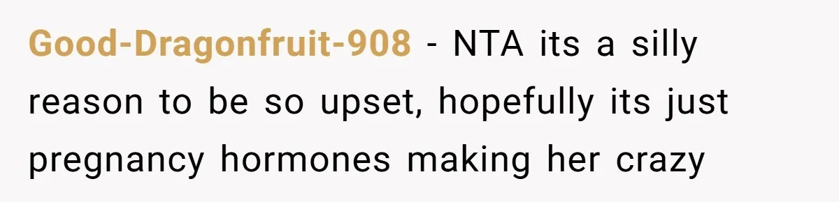 Good-Dragonfruit-908 − NTA its a silly reason to be so upset, hopefully its just pregnancy hormones making her crazy