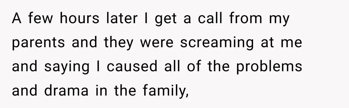 A few hours later I get a call from my parents and they were screaming at me and saying I caused all of the problems and drama in the family,