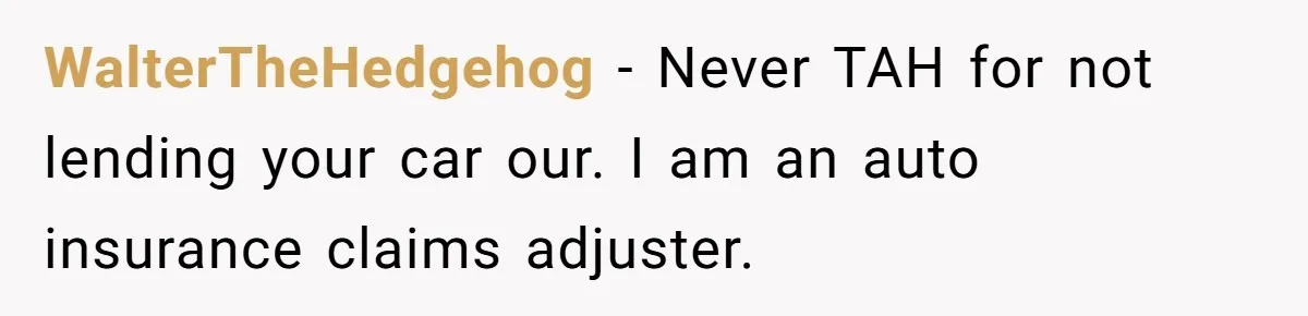 WalterTheHedgehog − Never TAH for not lending your car our. I am an auto insurance claims adjuster.
