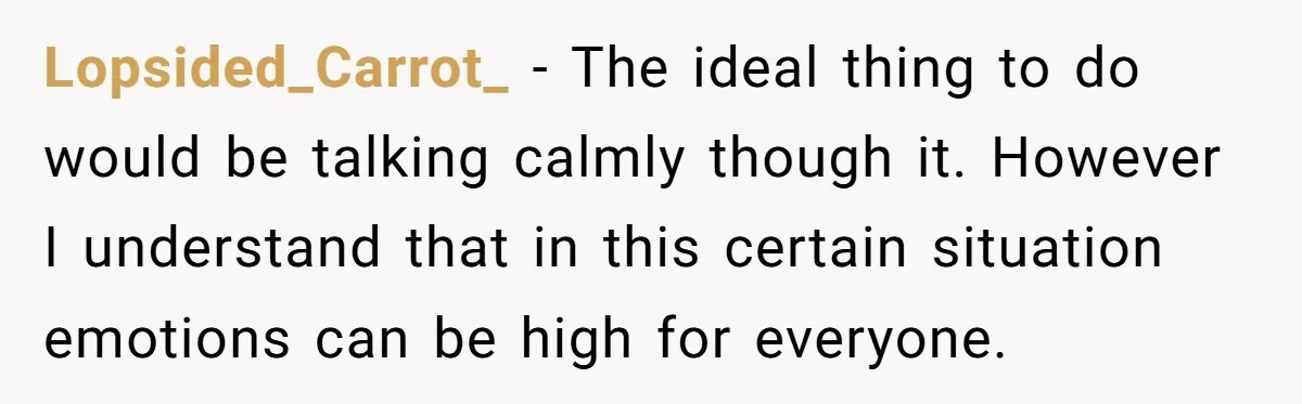 Lopsided_Carrot_ − The ideal thing to do would be talking calmly though it. However I understand that in this certain situation emotions can be high for everyone.