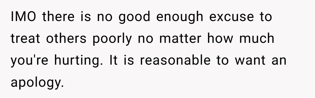 IMO there is no good enough excuse to treat others poorly no matter how much you're hurting. It is reasonable to want an apology.