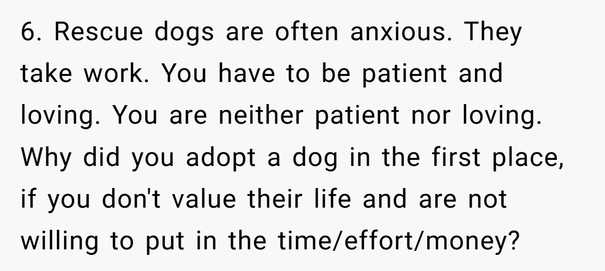 6. Rescue dogs are often anxious. They take work. You have to be patient and loving. You are neither patient nor loving. Why did you adopt a dog in the...