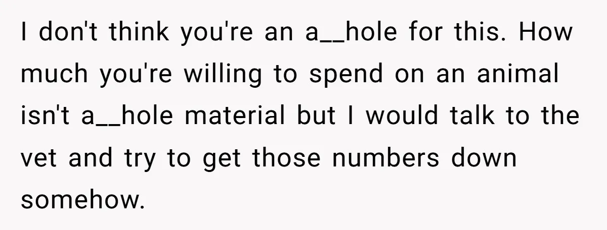 I don't think you're an a__hole for this. How much you're willing to spend on an animal isn't a__hole material but I would talk to the vet and try to...