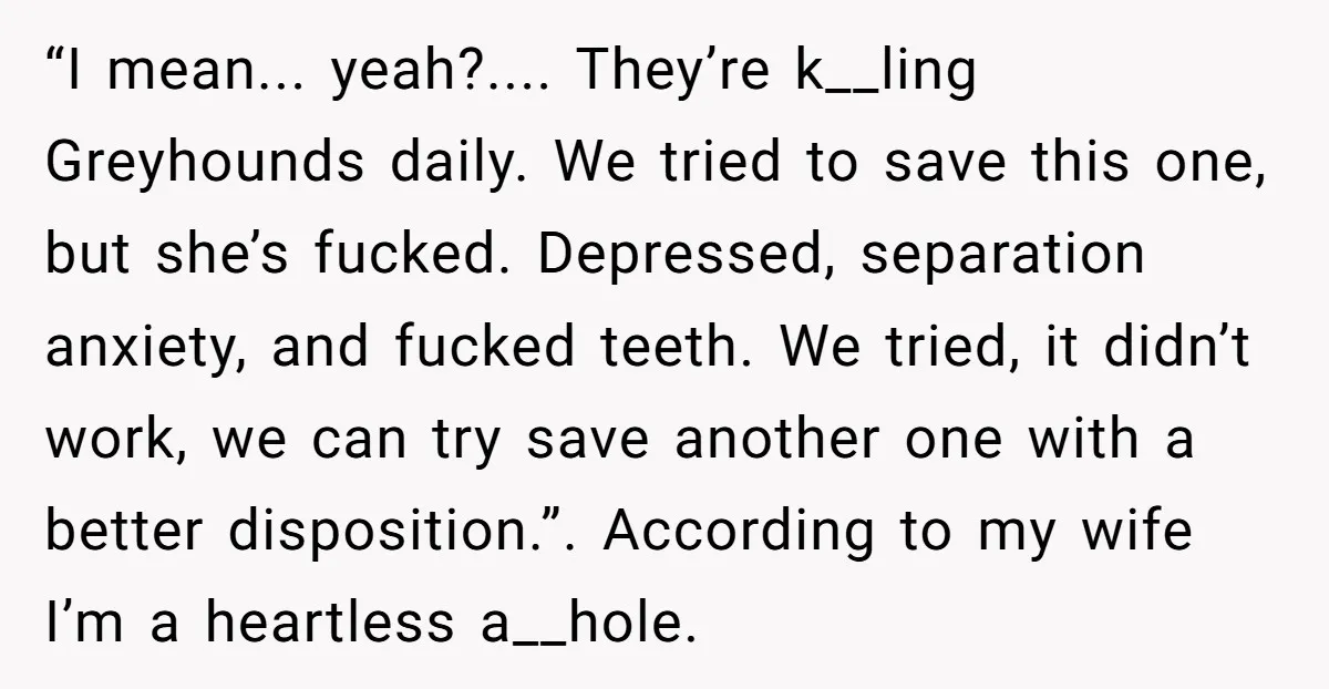 “I mean... yeah?.... They’re k__ling Greyhounds daily. We tried to save this one, but she’s fucked. Depressed, separation anxiety, and fucked teeth. We tried, it didn’t work, we can try...