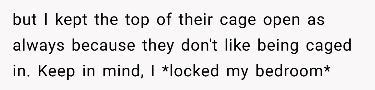 but I kept the top of their cage open as always because they don't like being caged in. Keep in mind, I *locked my bedroom*