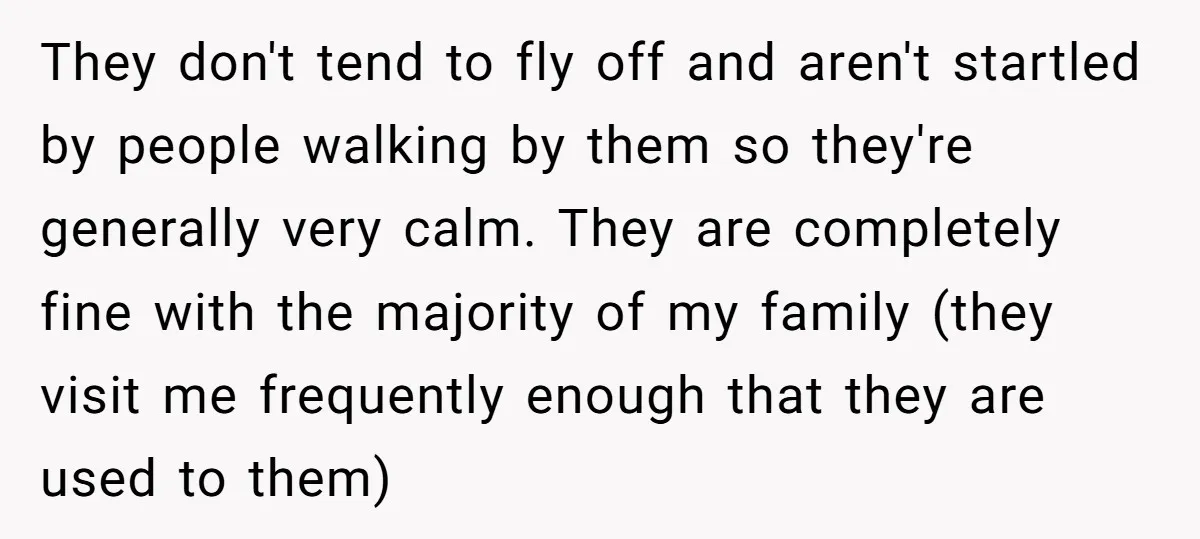 They don't tend to fly off and aren't startled by people walking by them so they're generally very calm. They are completely fine with the majority of my family (they...