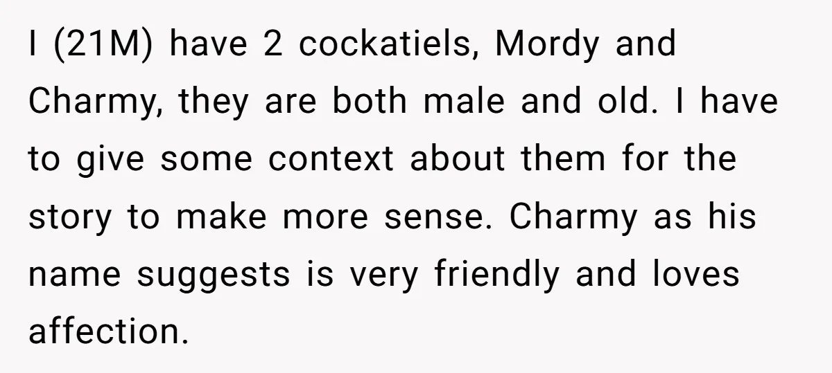 I (21M) have 2 cockatiels, Mordy and Charmy, they are both male and old. I have to give some context about them for the story to make more sense. Charmy...