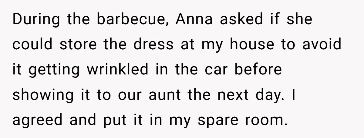 During the barbecue, Anna asked if she could store the dress at my house to avoid it getting wrinkled in the car before showing it to our aunt the next...
