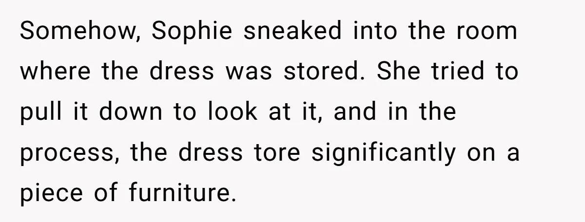 Somehow, Sophie sneaked into the room where the dress was stored. She tried to pull it down to look at it, and in the process, the dress tore significantly on...