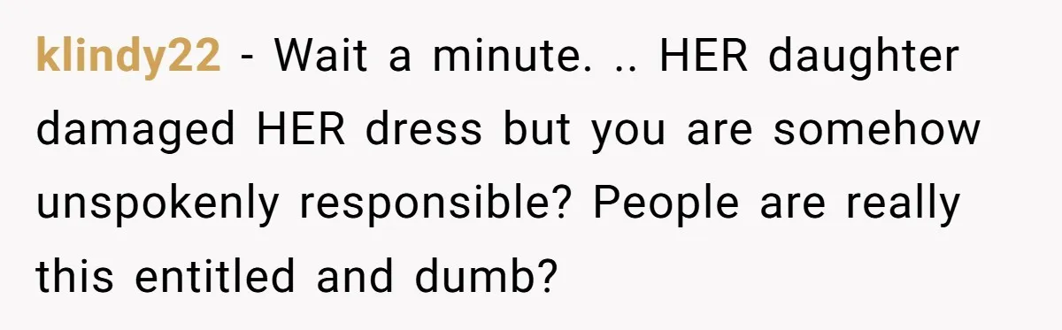 klindy22 − Wait a minute. .. HER daughter damaged HER dress but you are somehow unspokenly responsible? People are really this entitled and dumb?